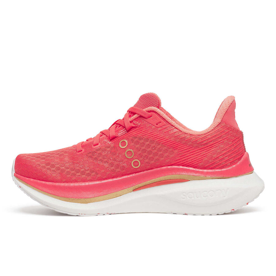 Saucony Endorphin Speed 5 Women's – Lightweight Speed for Every Run